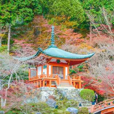 Japan tour package from Madurai South India